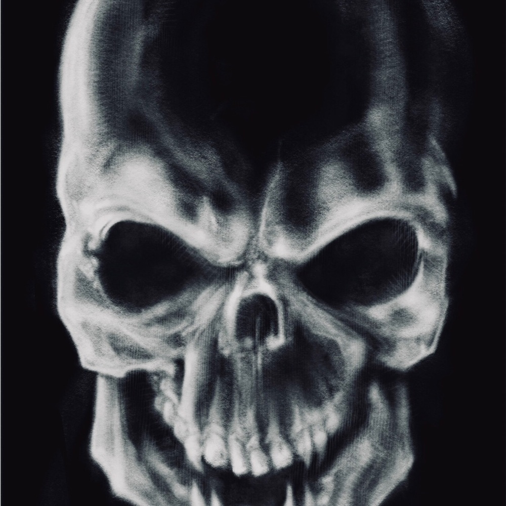 Art Print 4x6 Skull by Jameson Mars